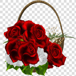 Background Rose Transparent   Beautiful Rose Flower For Friend  HD Png Download