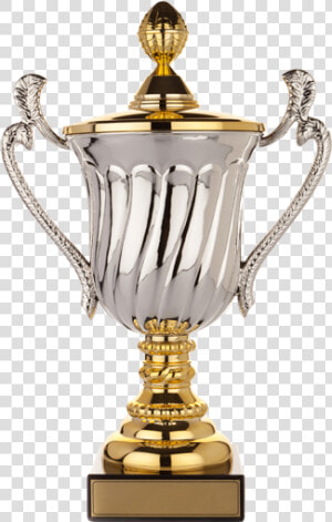 Awards Related To Sports  HD Png Download