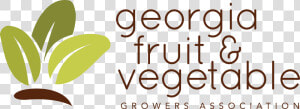 Organics Fruits Logo   Calligraphy  HD Png Download