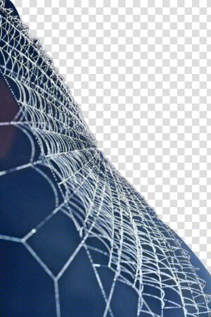  cobwebs   Quranic Verses On Ego  HD Png Download