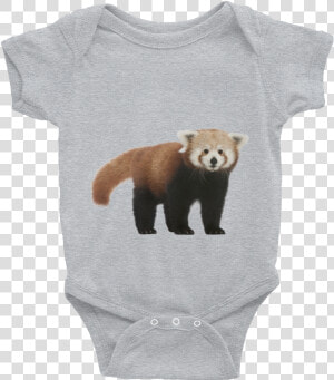 My Big Sister Is A Doberman Pinscher Baby Onesie  Dog   Careful What You Say To Me My Grandma  39 s Crazy And I  HD Png Download