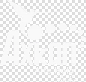 Coraciiformes  HD Png Download