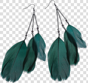 Feather Earrings Png Image   Feather Earrings Png  Transparent Png