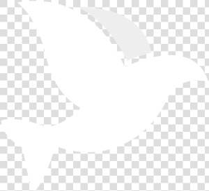 Christ Our Hope   Letterhead  HD Png Download