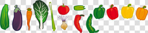 Clipart People Vegetable   Vegetables Clipart  HD Png Download