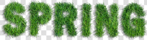 Graphic Freeuse Stock Spring Of Grass Png Clipart  Transparent Png