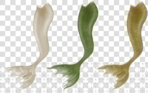 Mermaid Tail Clipart Mermaid Tale   Deviantart Mermaid Tail Png  Transparent Png