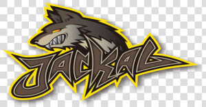 Jackal Png   Png Download  Transparent Png