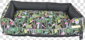 Cama De Cachorro Cactos  HD Png Download