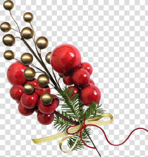 Christmas Bonus Kit   Christmas Tree  HD Png Download