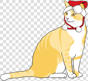 Cat  Christmas Cat  Animal  Pet  Christmas  Cute   Cat Yawns  HD Png Download