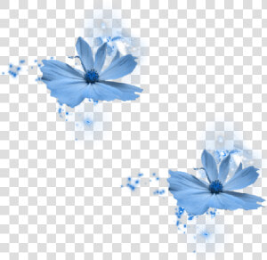 Flower Blue By Azulita1212 On Deviantart   Blue Rose  HD Png Download