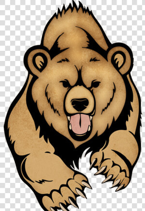 Lime Street Elementary School Home Of The Bears   Grizzly Bear Drawing Easy  HD Png Download