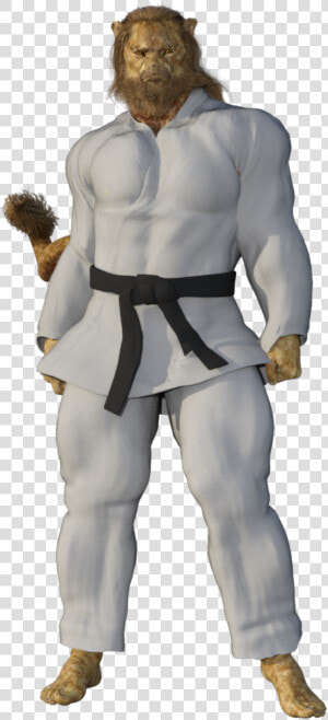 Brazilian Jiu jitsu  HD Png Download