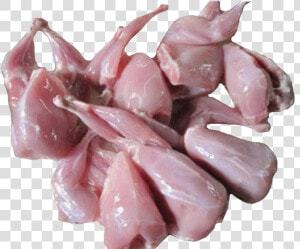 Quail Png  Transparent Png
