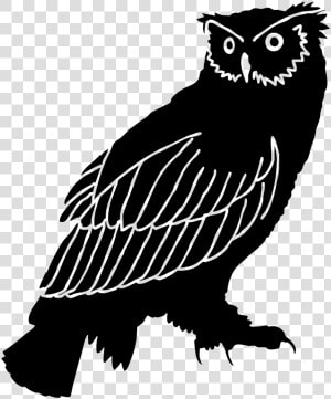Owl Silhouette Bird Black And White Clip Art   Great Horned Owl Silhouette  HD Png Download