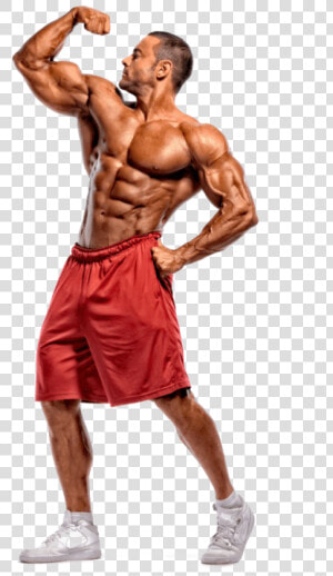 Bodybuilding Transparent   Body Builder Stock  HD Png Download