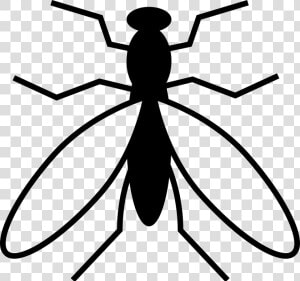 Mosquito From Top View   Mosquito Vector Art  HD Png Download