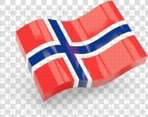 Pakistani Flag Icon Png  Transparent Png