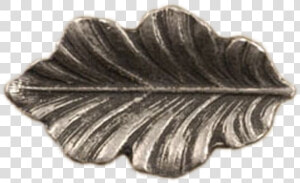 Fancy Oak Leaf sm Knob   Maple Leaf  HD Png Download
