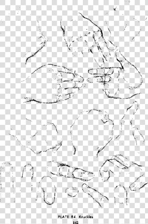 Andrew Loomis Drawing The Head And Hands 129 Clip Arts   Drawing  HD Png Download