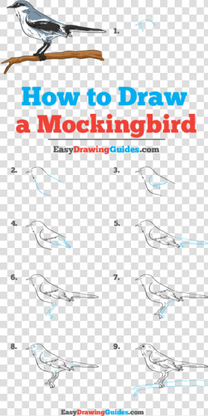 How To Draw Mockingbird   Flow  HD Png Download