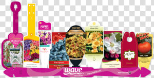 Blank Stakes  amp  Tags  Garden Center   Grape  HD Png Download