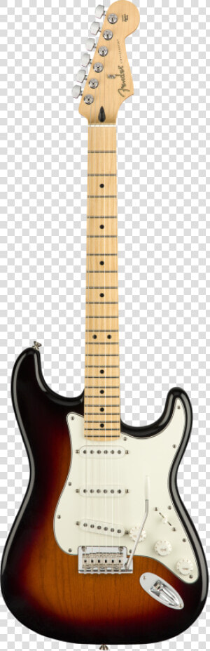 Fender Player Stratocaster 3ts Front  HD Png Download