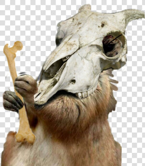  cubone   Deer  HD Png Download