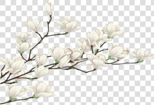  mq  white  flowers  flower  garden  nature   Snowdrop  HD Png Download