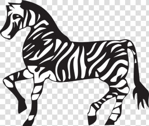Cliparts For Free Download Zoo Clipart Zebra And Use  HD Png Download
