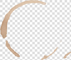 Stains On Student Show   Wood  HD Png Download
