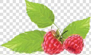 Transparent Clipart Été  HD Png Download