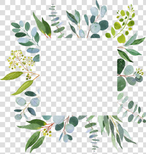 Clip Art Eucalyptus Greenery   Greenerys Templates  HD Png Download