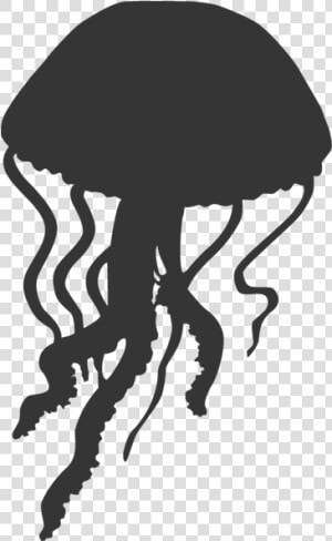 Jellyfish Clipart Seahorse  HD Png Download