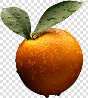 Orange   Orange   Business Accounting By Frank Wood  HD Png Download