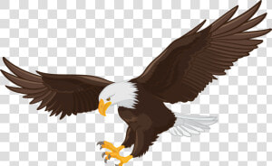 Transparent American Eagle Png   Bald Eagle Clipart Png  Png Download