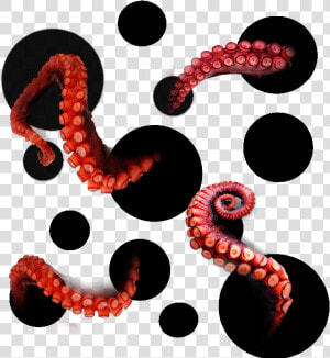  ftestickers  octopus  tentacles   Illustration  HD Png Download