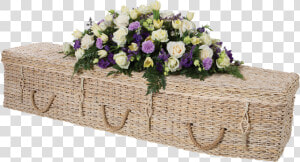 Coloured Coffins Uk  HD Png Download