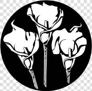 Apollo Design 1185 Calla Lily Trio Steel Pattern   Clip Art  HD Png Download