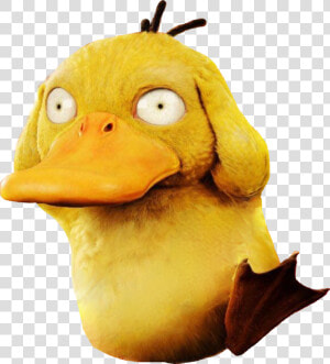 Pokemon Detective Pikachu Psyduck  HD Png Download