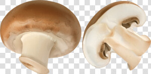 Mushrooms Clipart Mushroom Slice   Mushroom Slices Png  Transparent Png