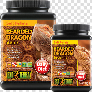 Calcium Powder Bearded Dragon  HD Png Download