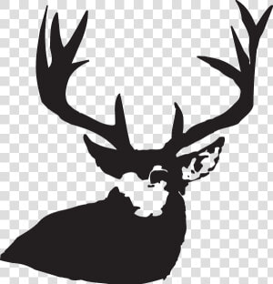 Deer Antlers  HD Png Download