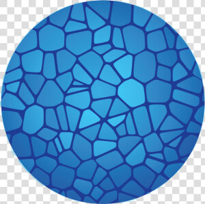 Single Cell Human Cell Atlas  HD Png Download