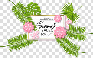 Pine Branches Watercolor Png Vector   Illustration  Transparent Png