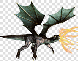 Naga Api Png  Transparent Png