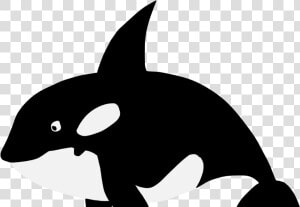 Orca   Killer Whale Svg   Sea World Svg Files  HD Png Download