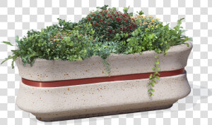 Concrete Oval Planter Model Geban For Urban Furniture  HD Png Download