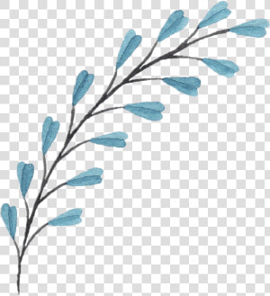 Bouquet Of Flowers Png   Branches With Flowers Drawing  Transparent Png